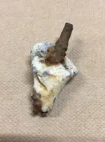 Bullet puller.webp