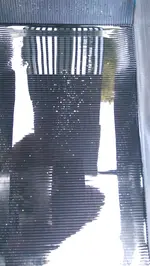 IMAG0354.webp