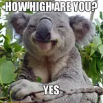 high.webp