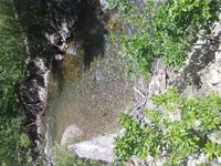 3B7BCE07-B687-434D-A218-26AA334829E9.webp