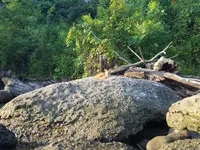 20180806_073152.webp