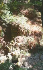20180812_174110.webp