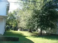 DSCF0002.webp