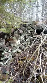IMG_20180418_130431.webp