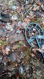 IMG_20180418_131533.webp
