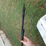 20180730_151345.webp
