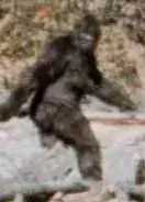 bigfoot.webp