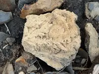 20180822_193805.webp