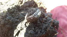 20180718_110737.webp