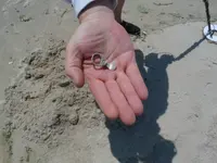beach 014.webp