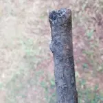 20180824_171633.webp