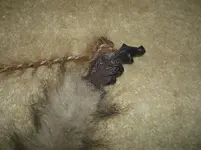 DSCF8540.webp