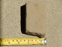 DSCN9934.webp