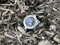 IMG_0983[1].webp