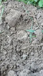 20180708_093510.webp