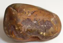 waxy rock3.webp