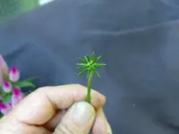 K1600_056.webp
