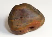 waxy rock.webp