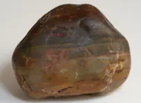 waxy rock2.webp