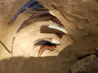 20180815_154939.webp