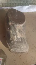 1532789741638-1030071092.webp