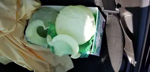 20180630_154618.webp