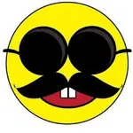 disguise.webp