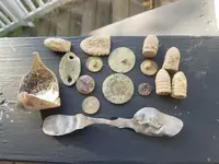 20180707_191456.webp