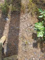 20180824_113349.webp