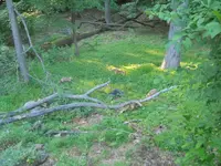 DSCN3520.webp