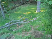 DSCN3517.webp