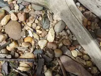 20180825_110123.webp