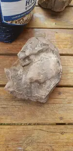 20180807-183738.webp