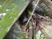 DSCF5773.webp