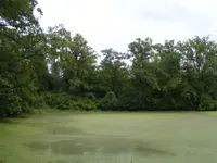 DSCF5805.webp