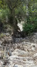 20180616_142030.webp