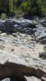 20180616_142038.webp