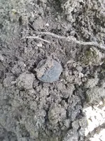 20180721_134655.webp