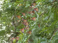 DSCF5863.webp