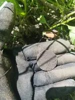 20180722_112151.webp