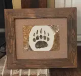 Bear track 1.webp