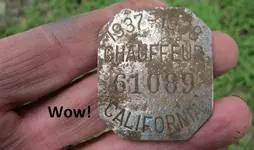 Chauffeurs Badge 9-3-18 001.webp