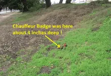 Chauffeurs Badge 9-3-18 003.webp
