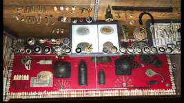 display case 2.webp