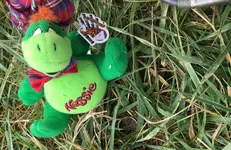 RFbisleTiNessAsIs6-18-30.webp