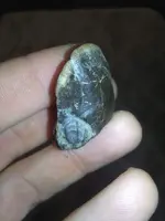 ImageUploadedByTreasureNet.com1530410555.633114.webp