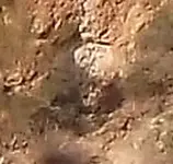 DSCF1372 c.webp