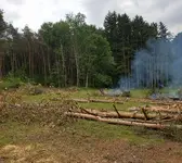 20180807_231443.webp