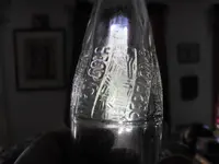 DSCF7017.webp