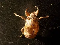 DSCN2035.webp